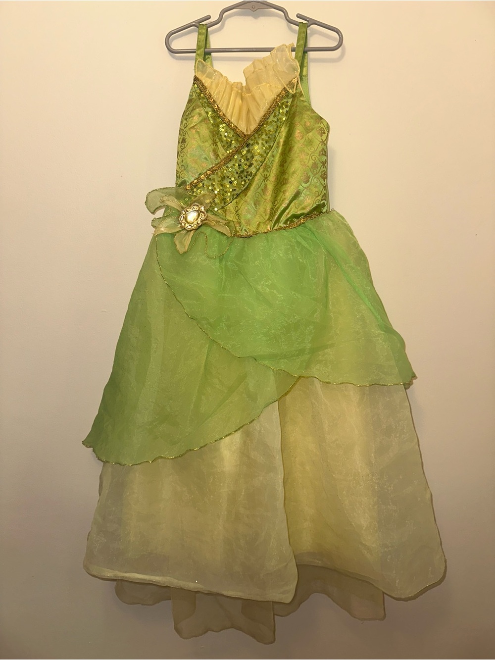 Disney Tiana Princess and the Frog Costume Dress